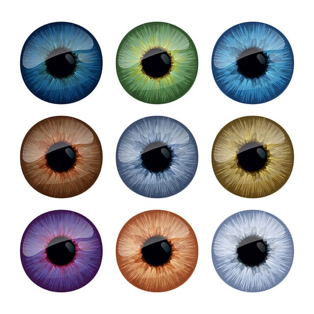iris-eye-colors