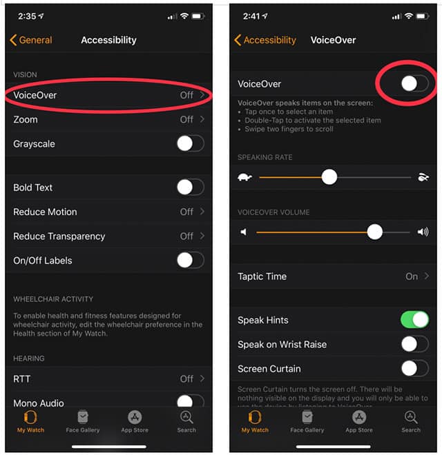 How to activate voiceover on Apple Watch app (part 2)