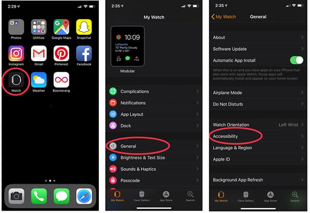 How to activate voiceover from Appl Watch app