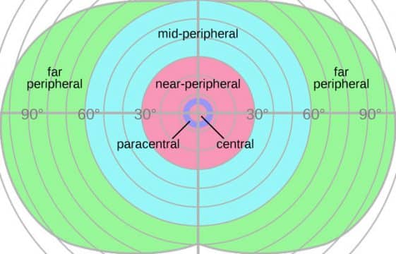 peripheral-vision-field